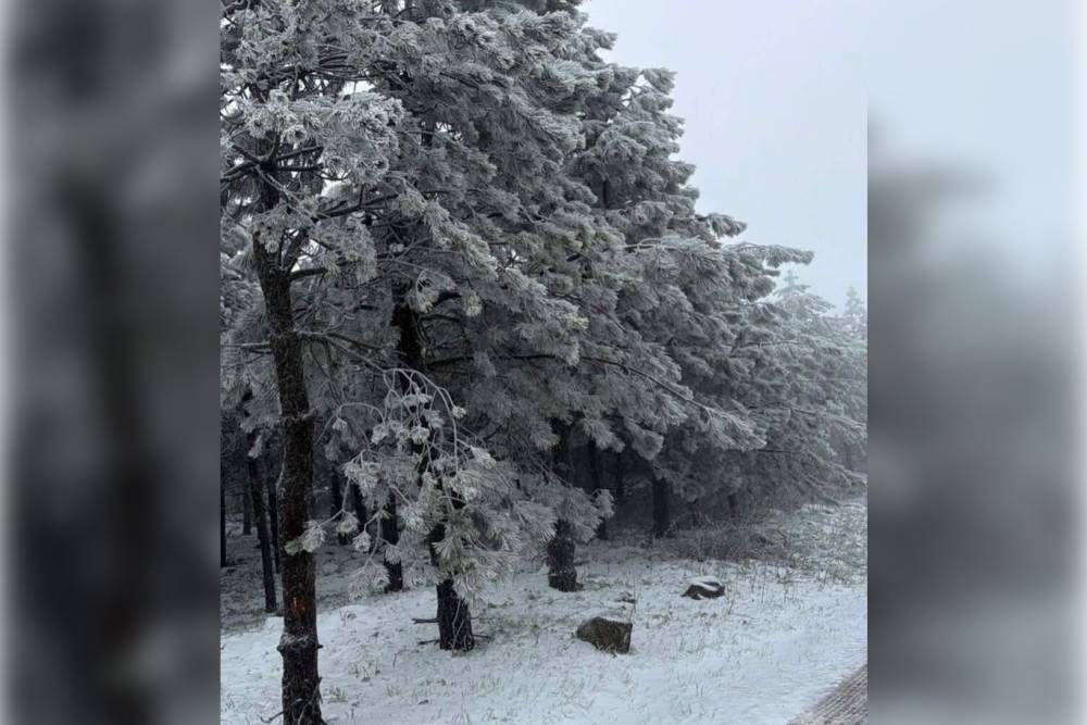 Manisa&rsquo;da kar yağışı etkili oldu