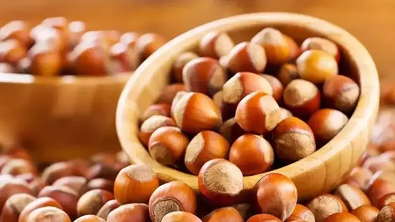 Fındık fiyatları yeni yıl İle y&uuml;kselmeye başladı