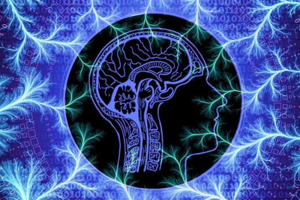 Araştırma: Erkeklerin cinsel isteği, inanışın aksine 40 yaşında zirveye ulaşıyor