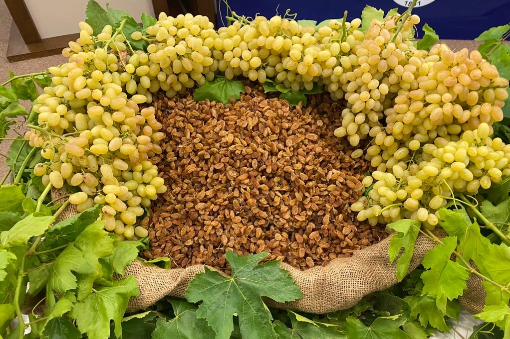 Kuru meyve sekt&ouml;r&uuml; 2025'i değerlendirdi