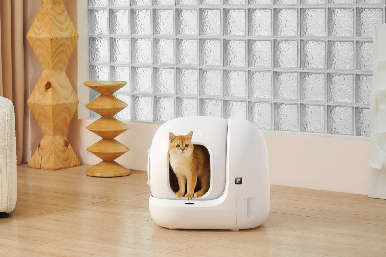 Patili Dostlarınızın Bakımında Yeni D&ouml;nem