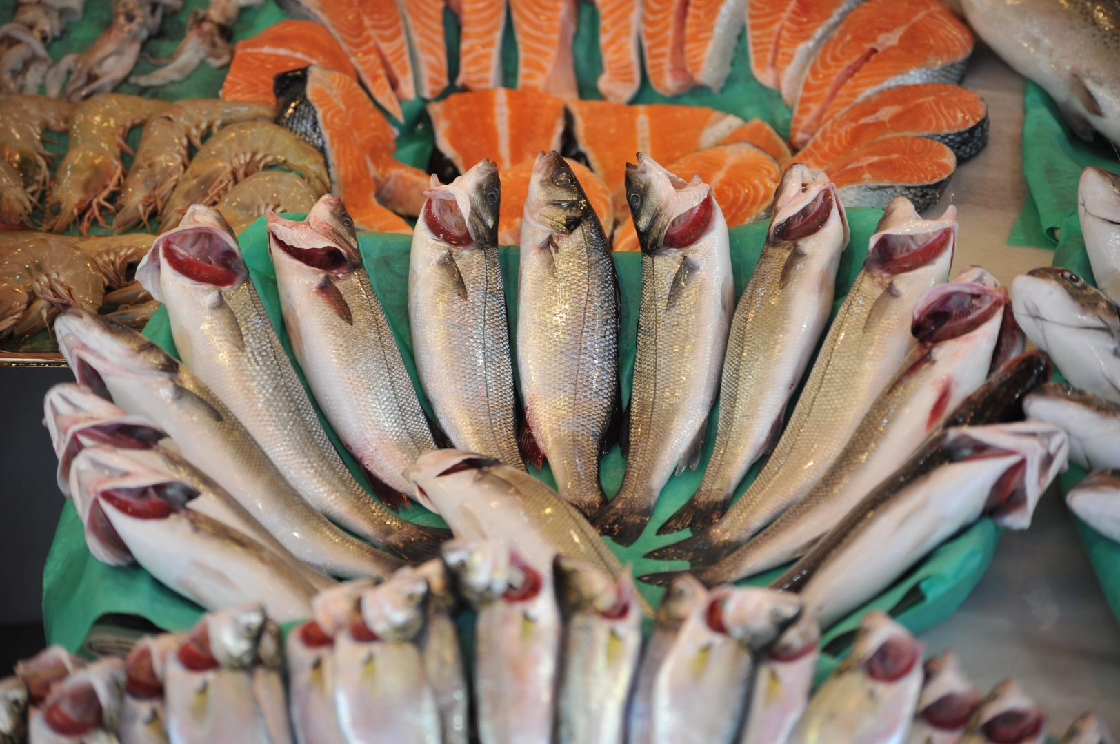 Su &Uuml;r&uuml;nleri Sekt&ouml;r&uuml; İlk &Ccedil;eyrekte İhracatını Y&uuml;zde 24 Artırdı